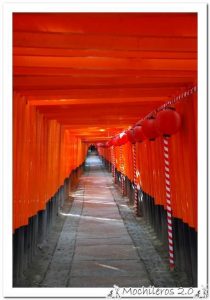 Lee más sobre el artículo Que ver en Fushimi Inari y Nara