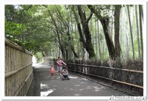 Lee más sobre el artículo Arashiyama y el Bosque de Bambú – Tenryuji – Ryoanji