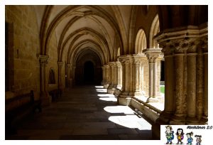 Lee más sobre el artículo Qué ver y visitar en Coimbra en un día