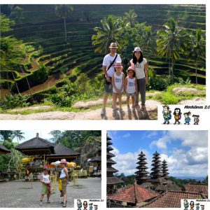 Lee más sobre el artículo Recorriendo Bali: De los Arrozales Tegalalang al Templo Madre