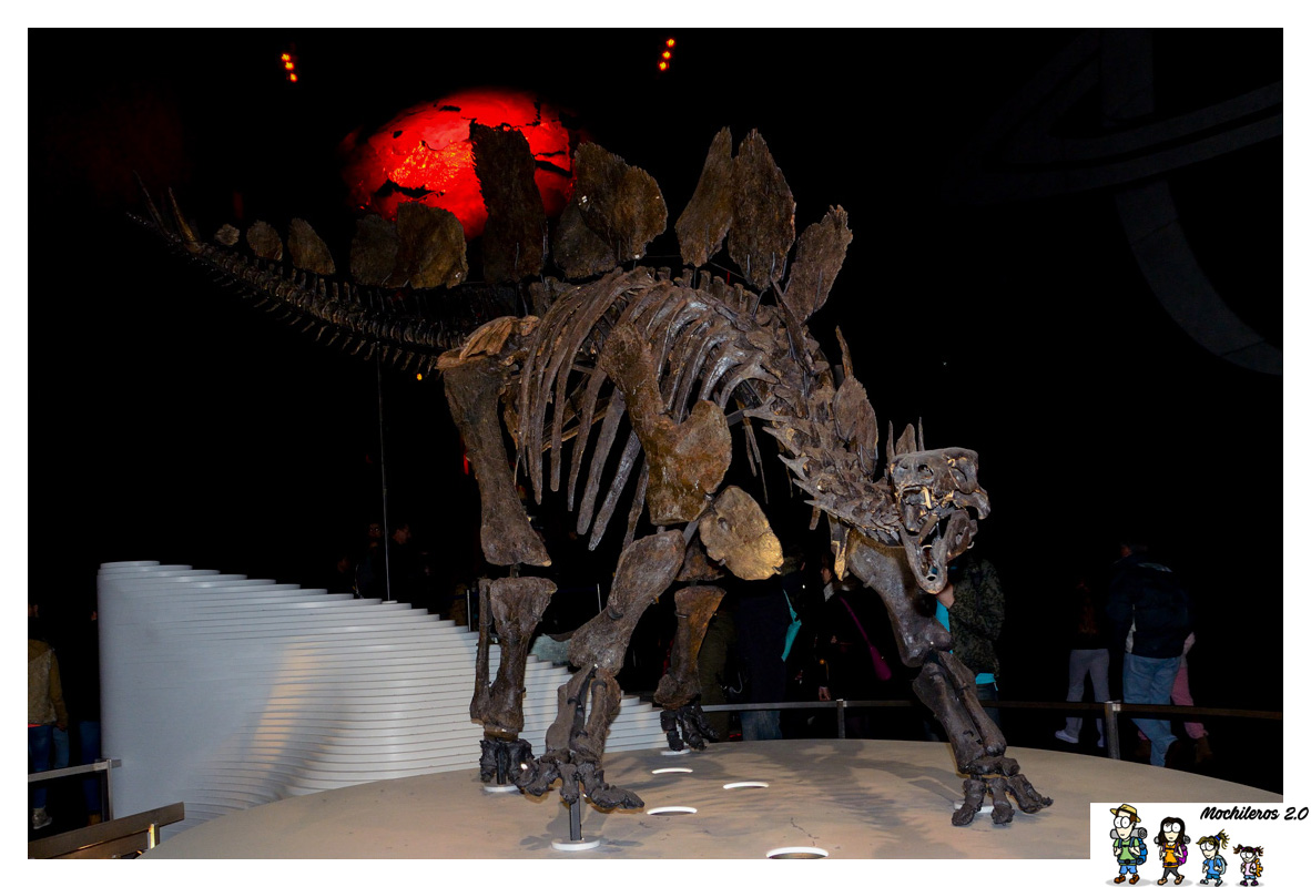 dinosaurio museo historia natural