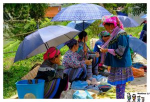 Lee más sobre el artículo Bac Ha, el mercado de las etnias del Norte de Vietnam