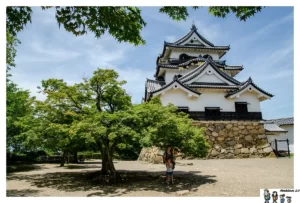 Lee más sobre el artículo Castillo de Hikone (Hikone-jō)