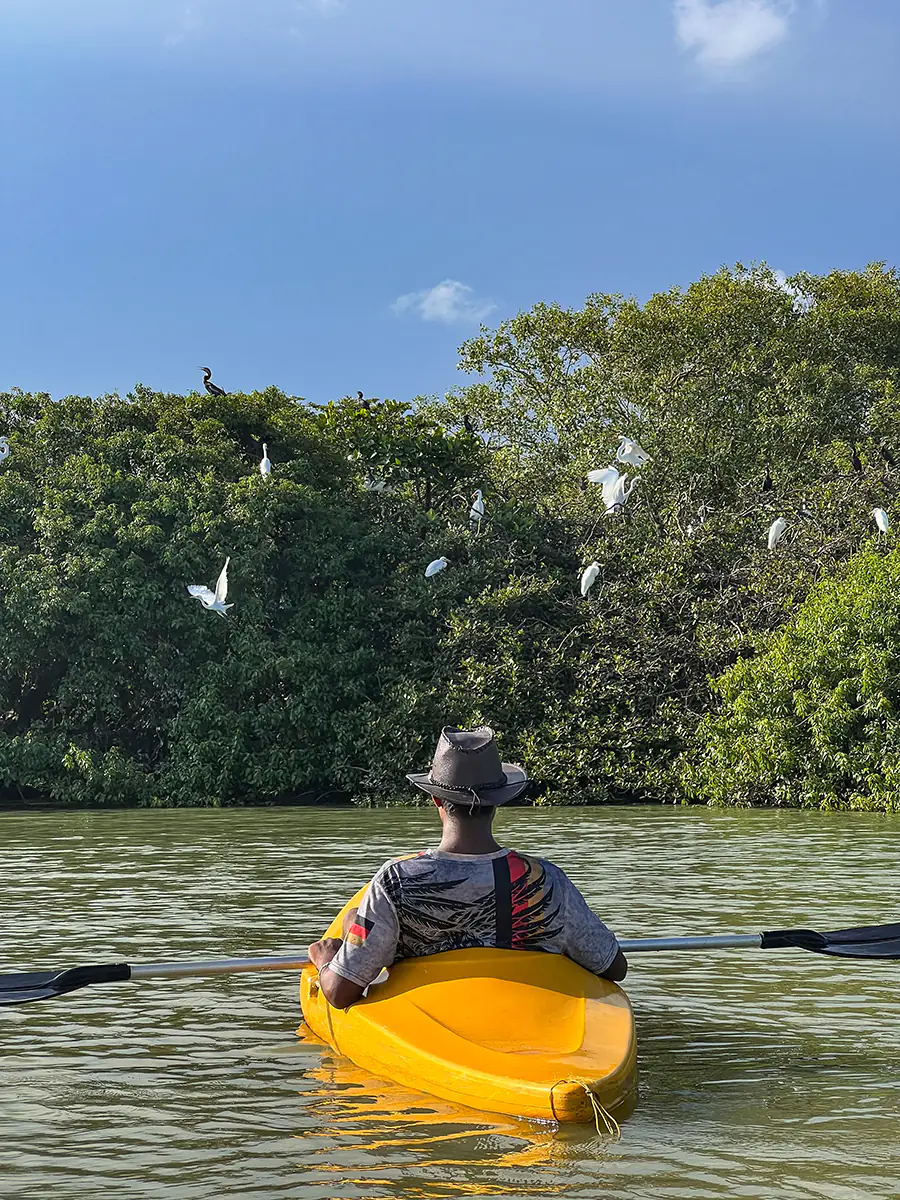 Excursión en Kayak por las lagunas de Tangalle